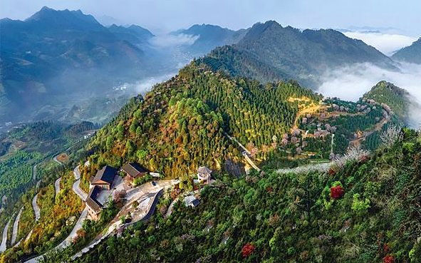 宜宾市-珙县-巡场镇-龙茶花海（世界最大茶花基地）风景旅游区|4A