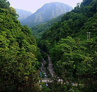 成都市-崇州市-三郎镇-九龙沟（四川大熊猫栖息地）风景区