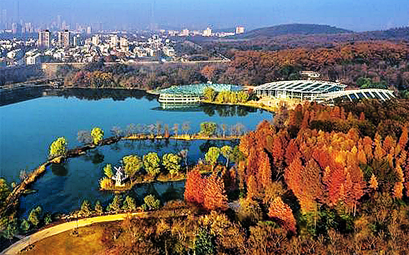 南京市-玄武区-南京中山植物园（江苏省·中科院植物博览园）·前湖公园风景旅游区