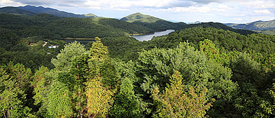 临沧市-双江县-大浪坝森林公园风景区