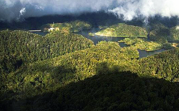 普洱市-景东县-哀牢山（杜鹃湖）国家级自然保护区