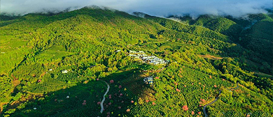 普洱市-宁洱县-困鹿山·皇家贡茶园