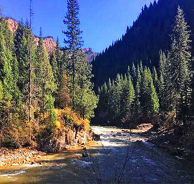 黄南州-泽库县-麦秀镇-麦秀国家森林公园