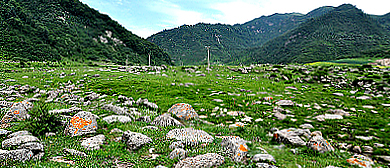 西宁市-湟中区-上五庄镇-水峡（石刻）森林风景区