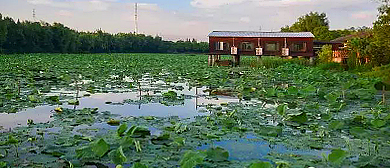 上海市-青浦区-练塘镇-九洲仙境风景区