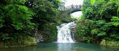 宁波市-宁海县-黄坛镇-梁皇山·野鹤湫风景区