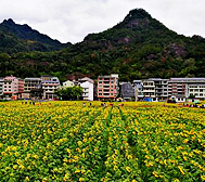 温州市-永嘉县-沙头镇-豫章村