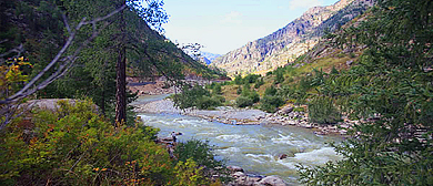 阿勒泰地区-福海县-卓尔特黄金河谷风景区