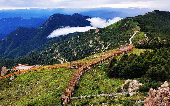 北京市-房山区-霞云岭乡-百花山·白草畔（百花山国家级自然保护区）风景旅游区