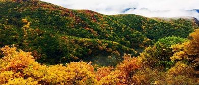 北京市-房山区-史家营乡-百花山·莲花庵风景区