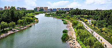 邢台市-临西县-临西大运河·卫运河（滨河）风景区