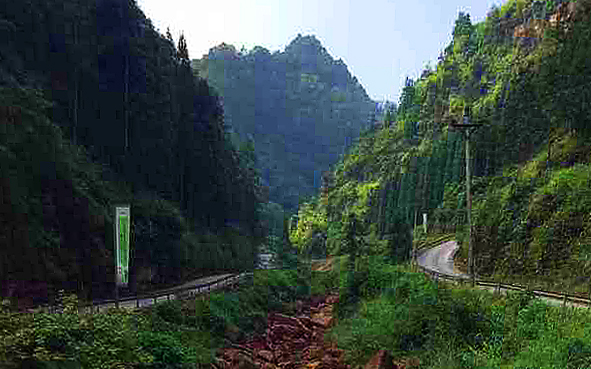 重庆市-江津区-永兴镇-大圆洞国家森林公园