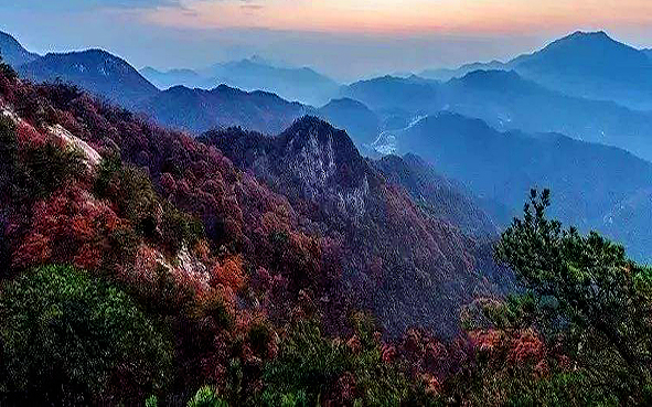 安庆市-岳西县-五河镇-大别山·妙道山（聚云峰1465米）国家森林公园|4A