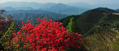 宣城市-旌德县-俞村镇-芳岱村·白云山风景区