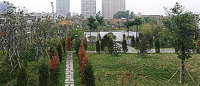 亳州市-谯城区-观音山遗址公园（|东汉-三国|曹氏家族墓群·观音山孤堆） 