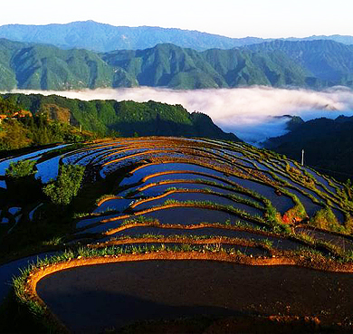 怀化市-溆浦县-葛竹坪镇-山背梯田（花瑶梯田）风景区