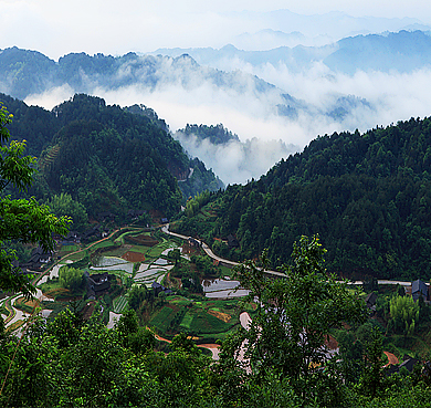 怀化市-芷江县-明山森林公园