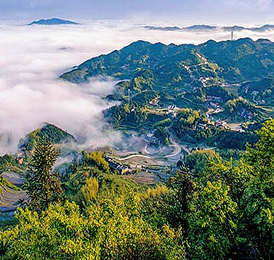 娄底市-双峰县-紫云峰（梯田）风景区