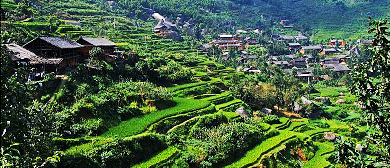 邵阳市-隆回县-虎形山乡-万贯冲梯田风景区