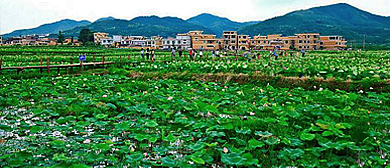 郴州市-汝城县-土桥镇-金山村·金山古村风景旅游区