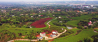 益阳市-赫山区-会龙山街道-仙蜂岭村·花乡农家乐