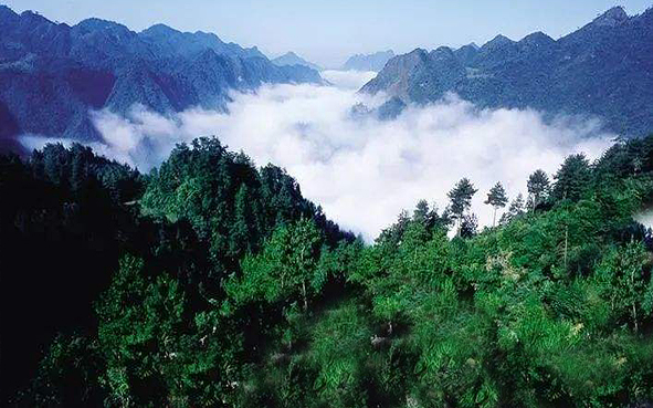 湘西州-保靖县-白云山（1321米）国家级自然保护区