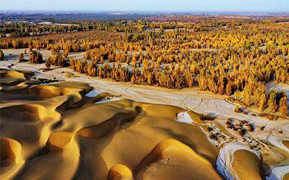 昌吉州-玛纳斯县-玛纳斯土炮营国家沙漠公园（古尔班通古特沙漠）风景旅游区