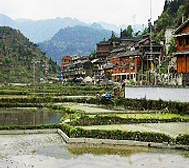 贵阳市-花溪区-高坡乡-云顶村苗寨（云顶草原）风景区