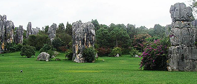 贵阳市-修文县-大石乡-绿色石林风景旅游区