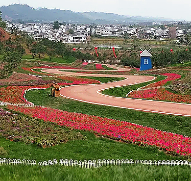 黔南州-惠水县-好花红镇·好花红（桔乡花海）风景旅游区|4A