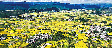 黔南州-龙里县-湾滩河镇-湾滩河（油菜花海）风景区