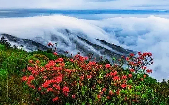 清远市-阳山县-秤架乡-阳山国家地质公园·广东第一峰（石坑崆·1902米）风景旅游区|4A