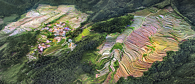 清远市-连山县-太保镇-欧家村·欧家梯田（大雾山）风景旅游区