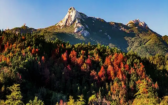 韶关市-新丰县-云髻山（1439米）国家级自然保护区