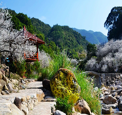 汕尾市-陆河县-水唇镇-罗洞村·螺洞世外梅园风景旅游区|4A