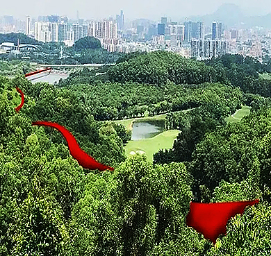深圳市-光明区-虹桥公园·光明小镇运动森林公园