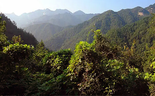 信阳市-商城县-河南大别山国家级自然保护区