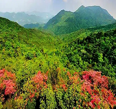 信阳市-商城县-大别山·黄柏山国家森林公园|4A