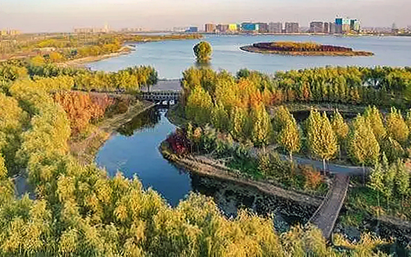 郑州市-金水区-郑州国家森林公园·龙湖湿地公园