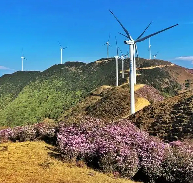 凉山州-德昌县-营盘山·索玛花海（杜鹃花海）风景区