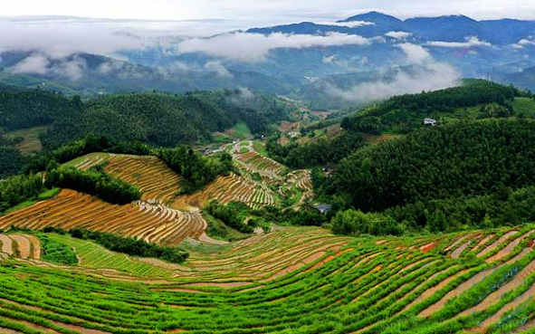 赣州市-崇义县-上堡乡-上堡梯田（古灌溉水利工程）风景旅游区