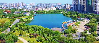 黄冈市-蕲春县城-漕河镇-濒湖文化广场公园·游乐园