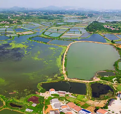 黄石市-大冶市-保安湖国家湿地公园