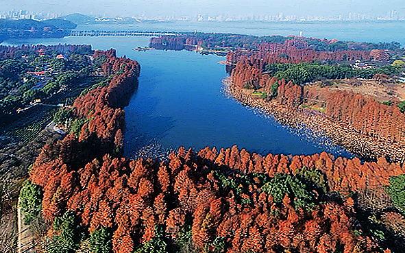 武汉市-洪山区-武汉东湖国家湿地公园
