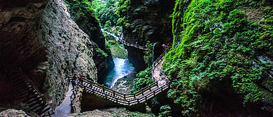 重庆市-武隆区-仙女山镇-武隆（岩溶喀斯特）国家地质公园·龙水峡地缝风景旅游区|4A