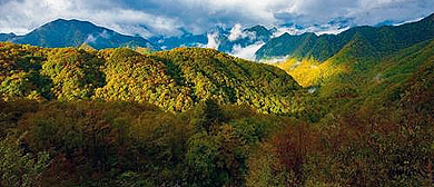 重庆市-彭水县-摩围山（茂云山国家森林公园）风景旅游区|4A