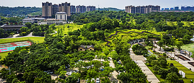 重庆市-永川区-观音山公园