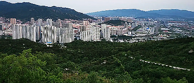 连云港市-连云区-北固山森林公园