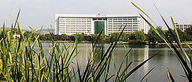 徐州市-鼓楼区-鼓楼区政府·九龙湖公园
