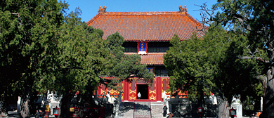 北京市-东城区-国子监街-|元-清|北京孔庙（文庙碑林·乾隆石经）博物馆|4A